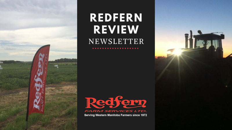Redfern Review newsletter
